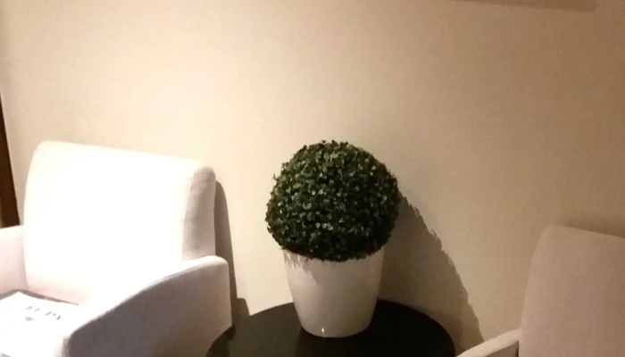 Hospital Britanico De Montevideo Puntaje - Montevideo