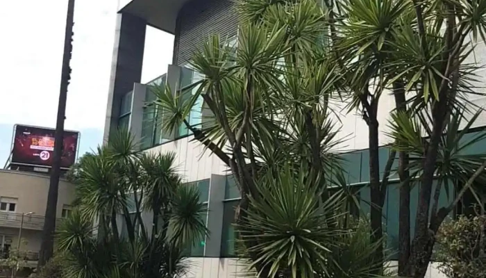 Hospital Britanico De Montevideo Videos - Montevideo