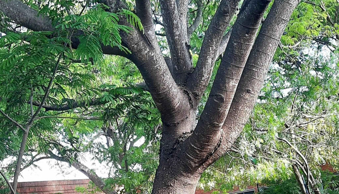 Hospital De Canelones -  Como Llegar - Canelones