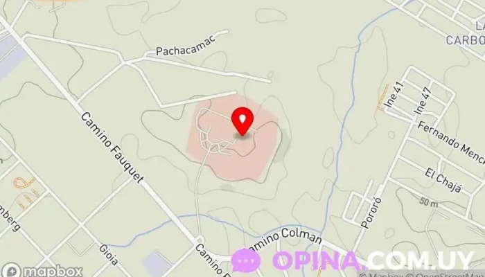 mapa de Hospital de Ojos Jose Marti Hospital especializado en Montevideo