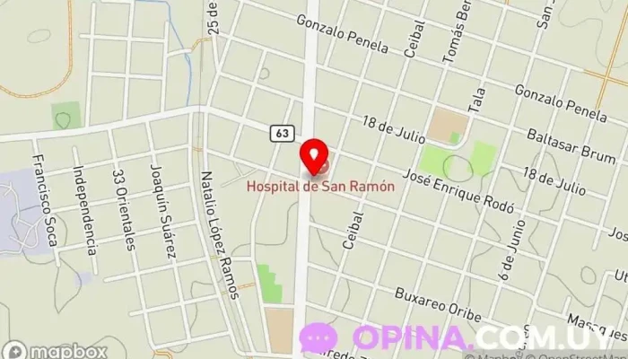 mapa de Hospital de San Ramón Hospital en San Ramón