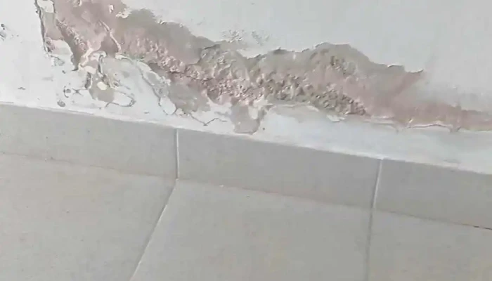 Hospital Publico De Sarandi Grande Videos - Sarandí Grande