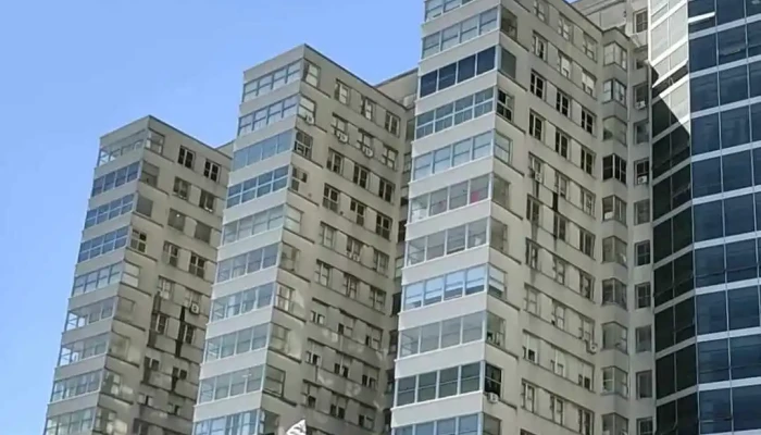 Hospital Universitario Udelar Videos - N