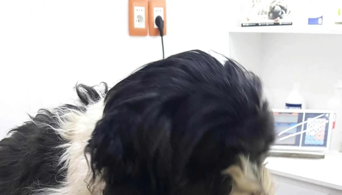 Hospital Veterinario El Cimarron Comentarios - Barros Blancos