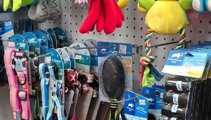 Hospital Veterinario El Cimarron Interior - Barros Blancos