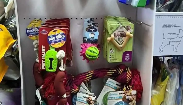 Hospital Veterinario El Cimarron Videos - Barros Blancos