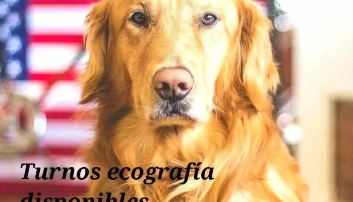 Hospital Veterinario Santa Catalina - B1824Kdo Lanús