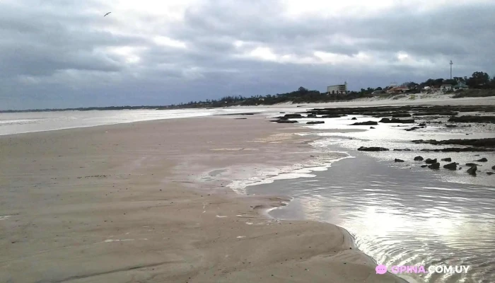 Hosteria La Floresta -  De Los Visitantes - La Floresta