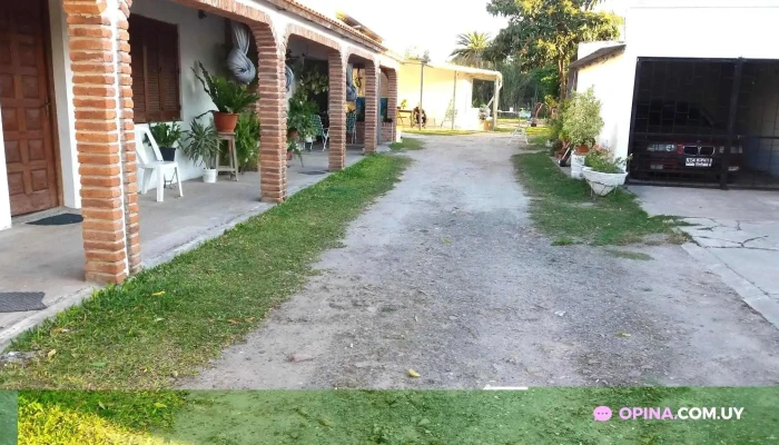 Hotel Alojamiento Los Girasoles -  De Los Visitantes - San Javier