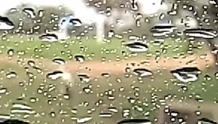 Hotel Alojamiento Los Girasoles -  Videos - San Javier