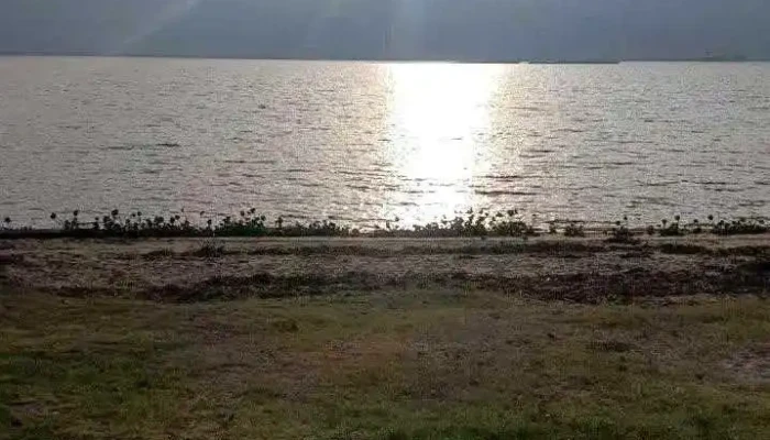 Hotel Bagu Nueva Palmira -  Videos - Nueva Palmira