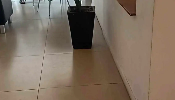 Hotel California -  De Los Visitantes - Montevideo