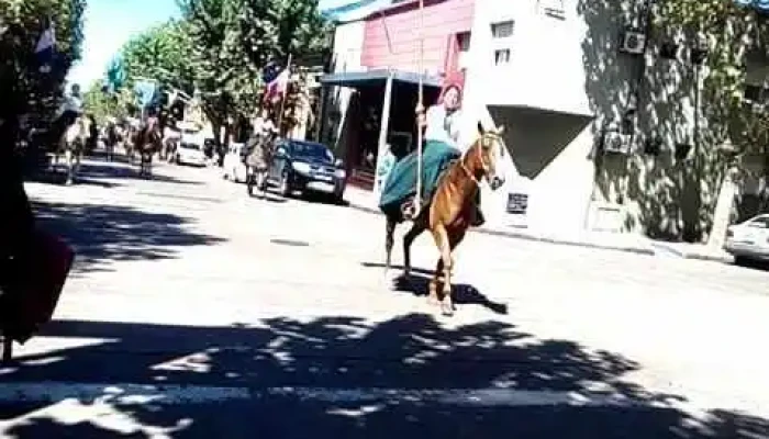 Hotel Central -  Videos - Durazno