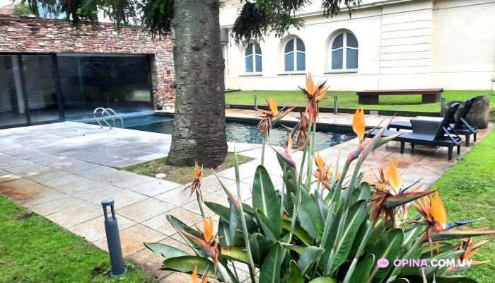 Hotel Cottage -  De Los Visitantes - Montevideo