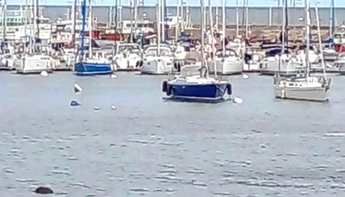 Hotel Cottage Puerto Buceo -  De Los Visitantes - Montevideo