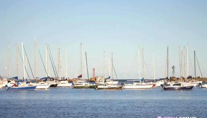 Hotel Cottage Puerto Buceo -  Todas - Montevideo