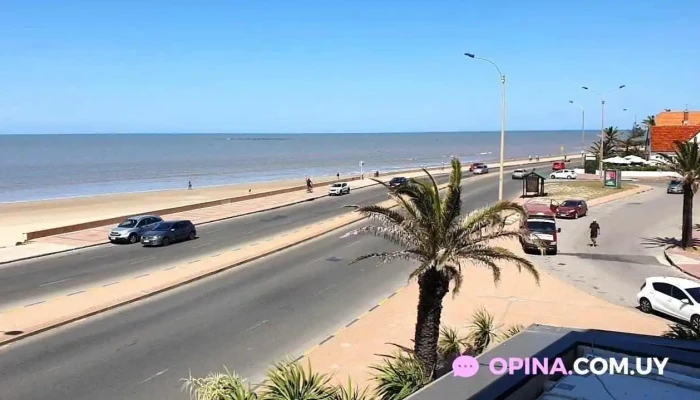 Hotel Cottage -  Videos - Montevideo