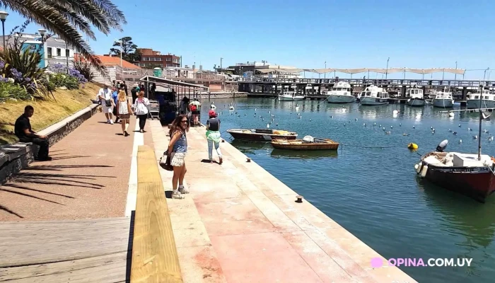Hotel Gaudi Videos - Punta del Este
