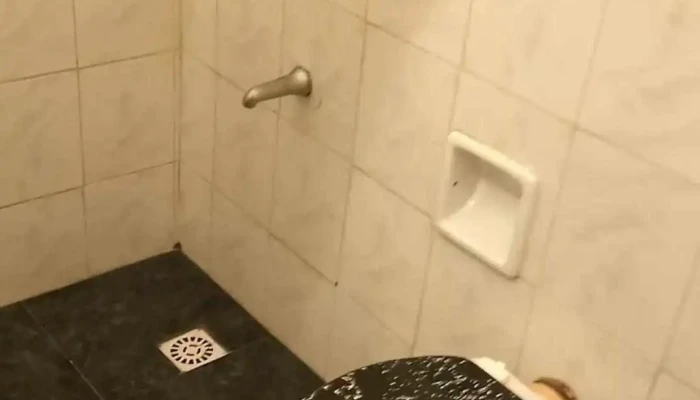 Hotel Gaviotas -  De Los Visitantes - Montevideo