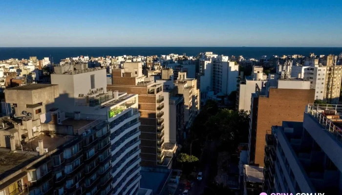 Hotel Ibis Styles Montevideo -  Todas - Montevideo
