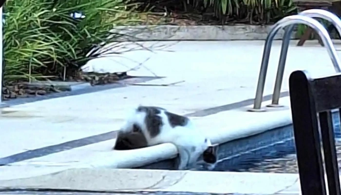 Hotel Italiano -  Recientes - Col. del Sacramento