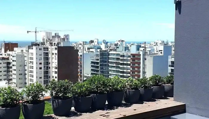 Hotel Montevideo The Leading Hotels Of The World -  Videos - Montevideo