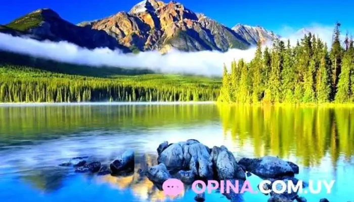 Hotel Olimar -  De Los Visitantes - Treinta y Tres