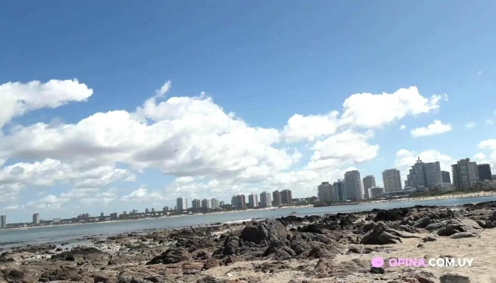 Hotel Playa Brava -  Videos - Punta del Este