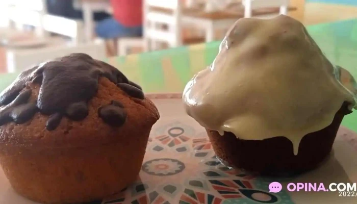 Hotel Vista -  Comidas Y Bebidas - La Floresta