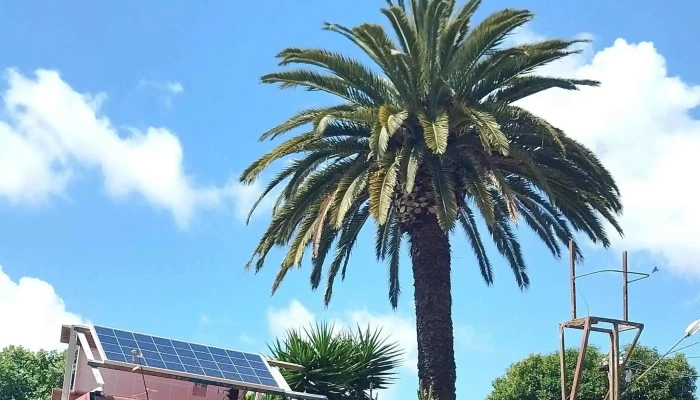 Huceba Huerta Comunitaria Montevideo - Montevideo