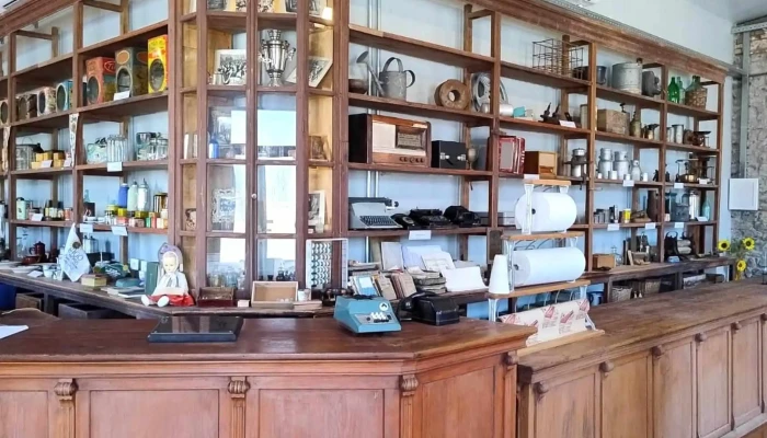 Huellitas Veterinaria -  Direccion - Paysandú