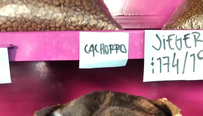 Huellitas Veterinaria -  Horario - Paysandú