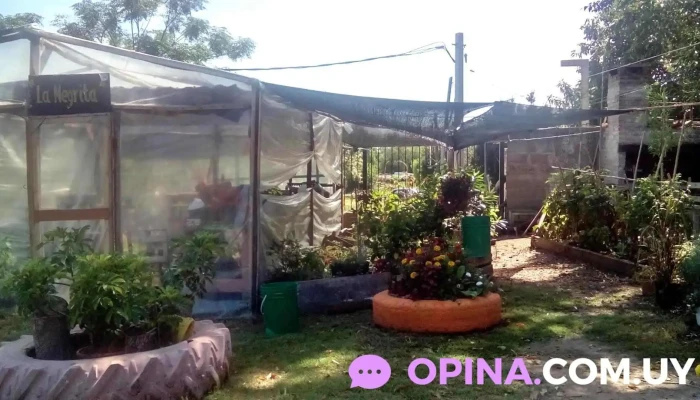 Huerta Organica "La Negrita" - Montevideo