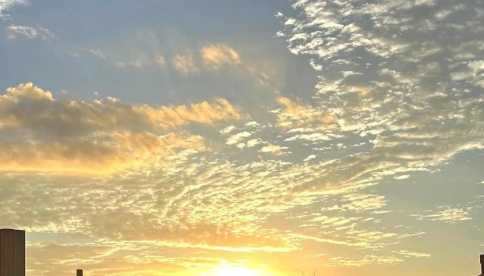 Huertas De Los Horneros -  Donde - Canelones