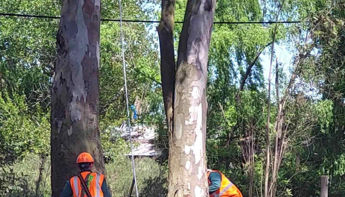 Huertas De Los Horneros -  Videos - Canelones