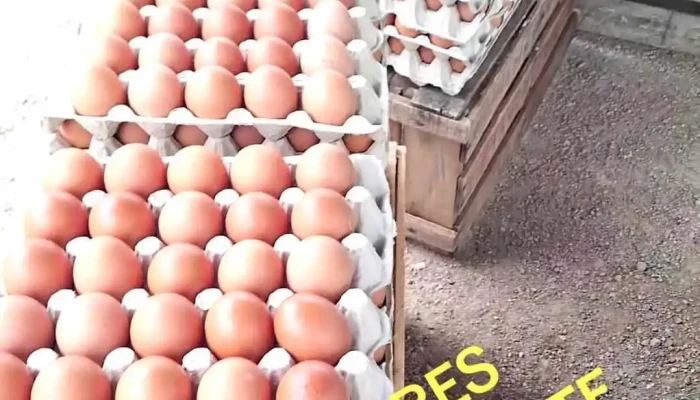 Huevero de Piedras Blancas - 12200 Montevideo