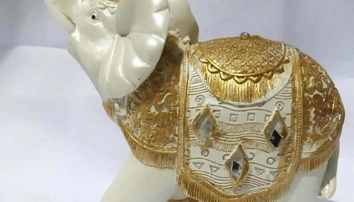 Iantuttisurti Catalogo - Ciudad del Plata