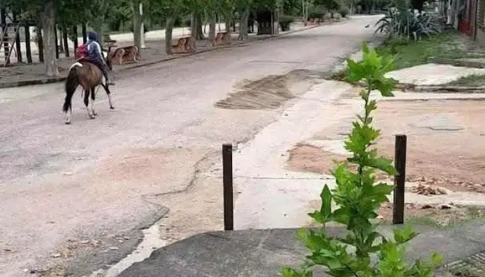 Ignacio Barrios -  Videos - 25 de Agosto