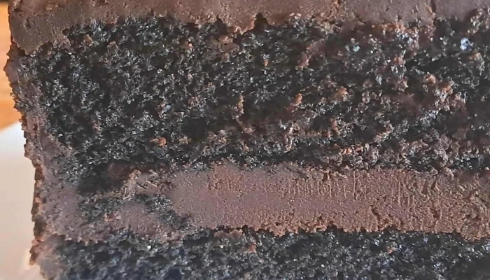 Igual A Mi Comentario 1 - Atl&aacute;ntida