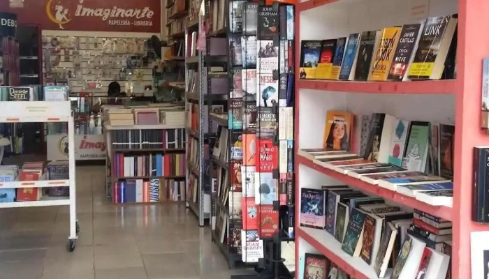 Imaginarte -  Opiniones - La Paloma