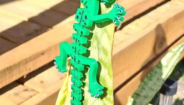 Impresiones 3d - Santa Catalina