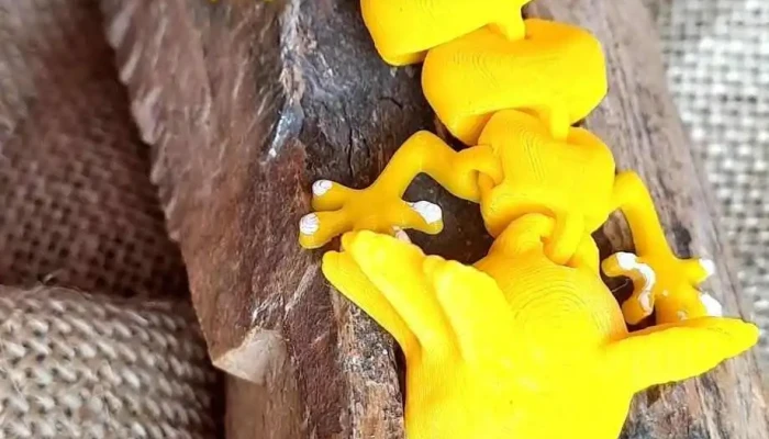 Impresiones 3d - Santa Catalina