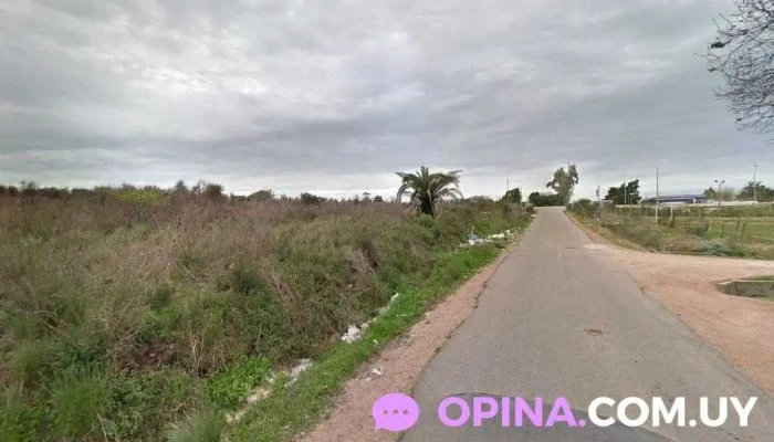 Impresiones y fotocopias - Montevideo