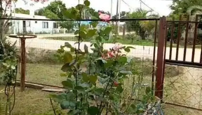 Impresora Lugrama -  Videos - Gral. Líber Seregni