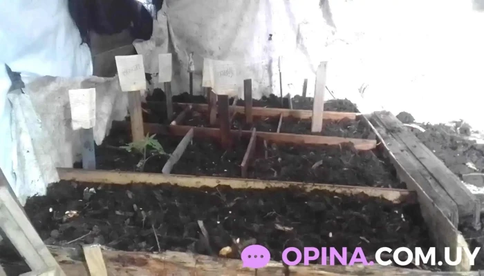 Infinito bazar - 50000 Salto