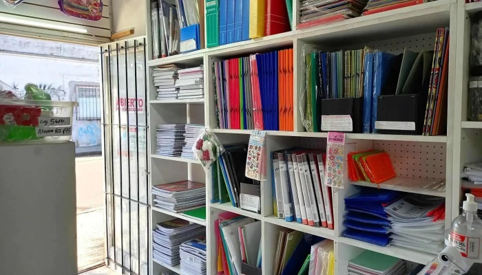 Ink Color -  Del Propietario - Maldonado