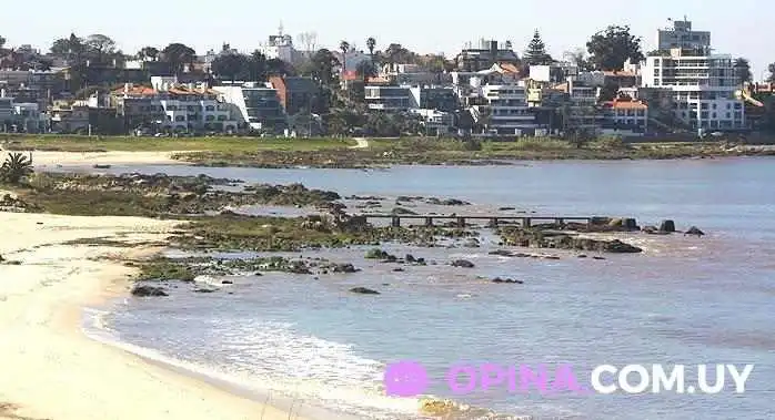 Inmobiliaria Arte Carrasco - Montevideo