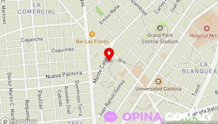 mapa de Inmobiliaria Asencio Agencia inmobiliaria en Montevideo