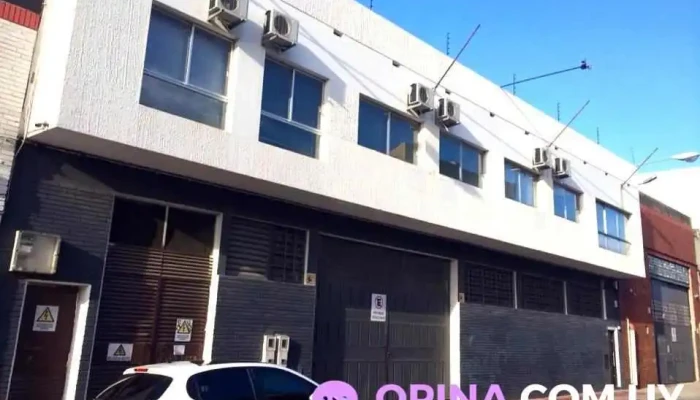 Inmobiliaria Balduini -  Zona - Montevideo