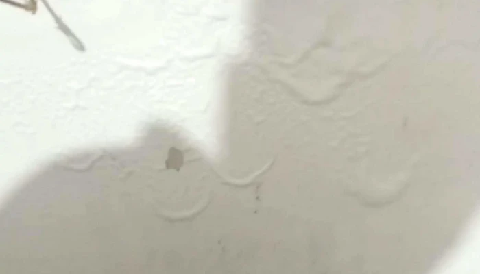 Inmobiliaria Braglia -  Sitio Web - Montevideo